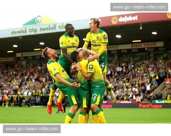 王者之路，绿茵史诗：诺维奇与查尔顿的绿茵情仇